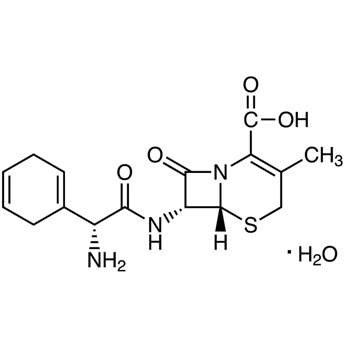 cephradine,velosef, town pharmacy