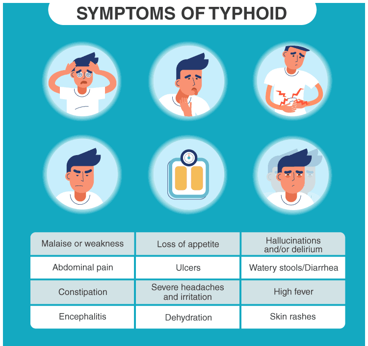 Typhoid Fever - Caused By A Bacterial Infection Town Pharmacy