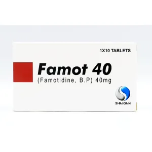 FAMOT 40 MG TAB