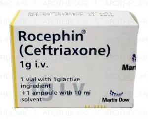 ROCEPHIN 1 GM IV INJ