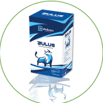 Bulus Sachet Town Pharmacy