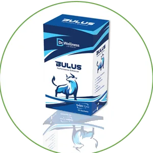 Bulus Sachet Town Pharmacy